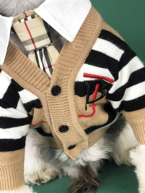 designer dog coats burberry